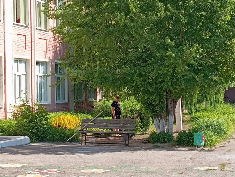 Летняя работа.